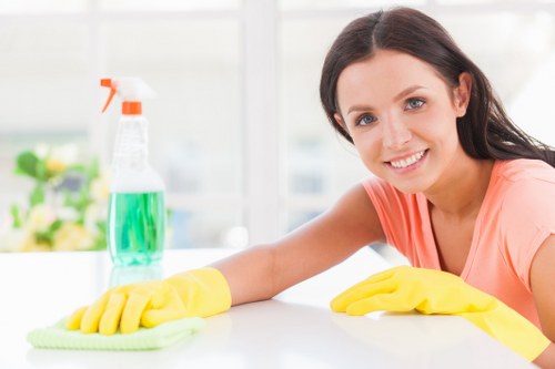 Carpet cleaning for pet stain odour removal in Kingston Vale