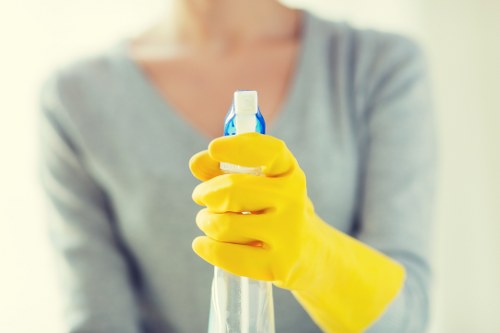 Carpet cleaning price discussion for a Kingston Vale home
