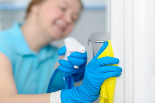 Professional carpet cleaning in Kingston Vale at the start of the article