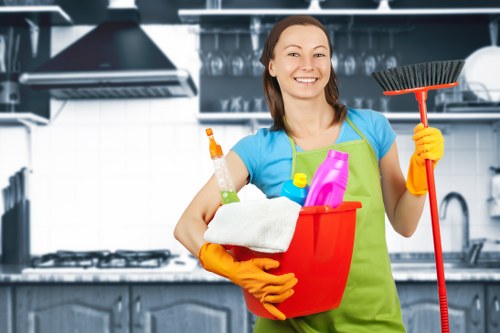 Professional cleaning tools and treatment products used for carpet care