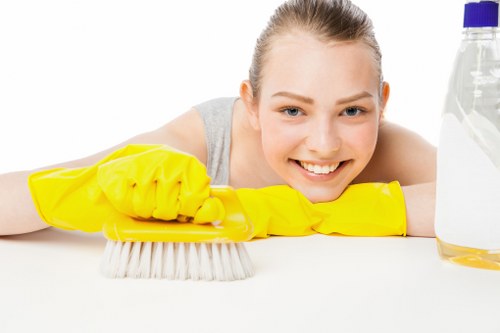 Risk assessment and safety checks before carpet cleaning begins
