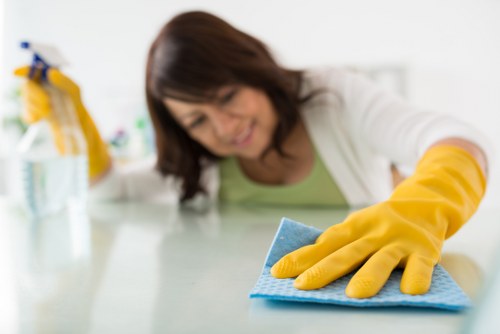 Accessibility support message for Kingston Vale Carpet Cleaners website