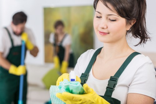 Stain and odour treatment during upholstery cleaning in Kingston Vale