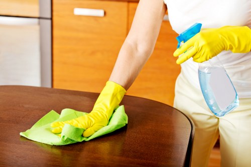 Detailed carpet maintenance and cleaning treatment setup